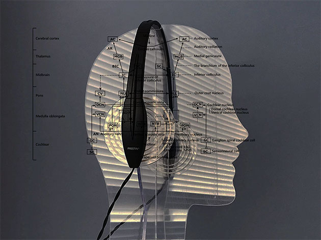 ディー シー シー株式会社は脳で聴くヒアリング デバイス プレスティン R を開発 製造しています